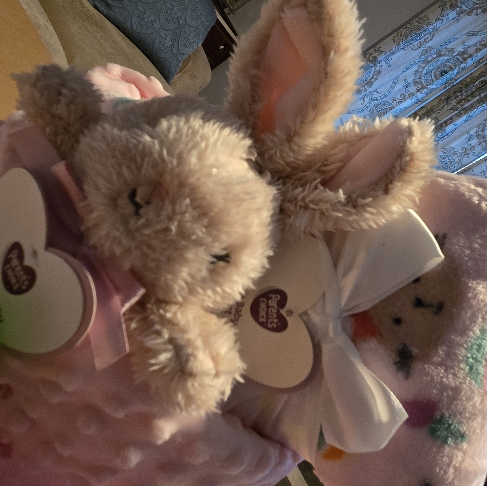 Plush Bunny with Pink Blanket